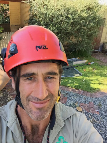 Ace's Tree & Garden Service - Expert Garden Service, Trimming and Lopping