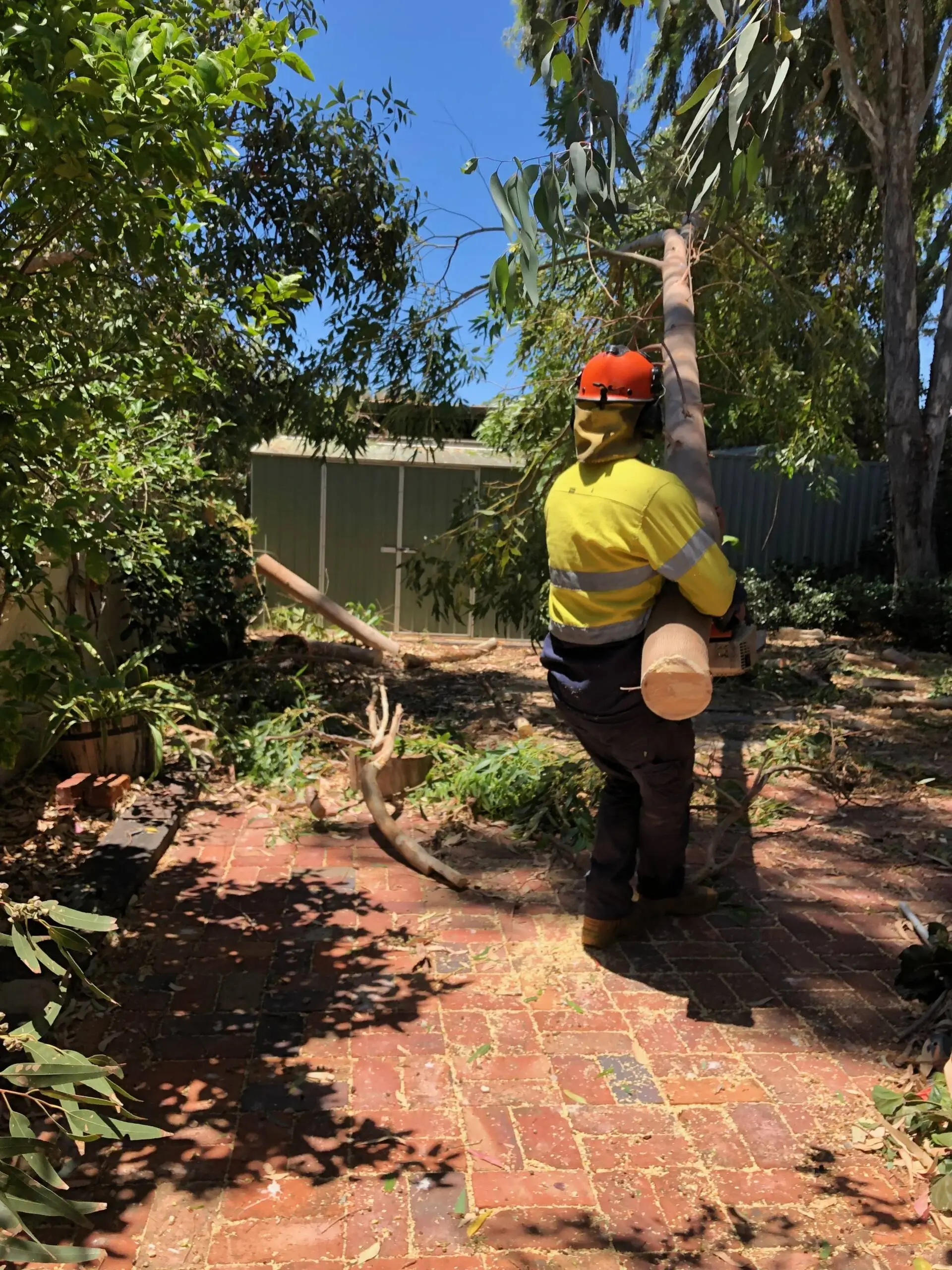 Ace’s Tree & Garden Service worker removing the huge tree branch