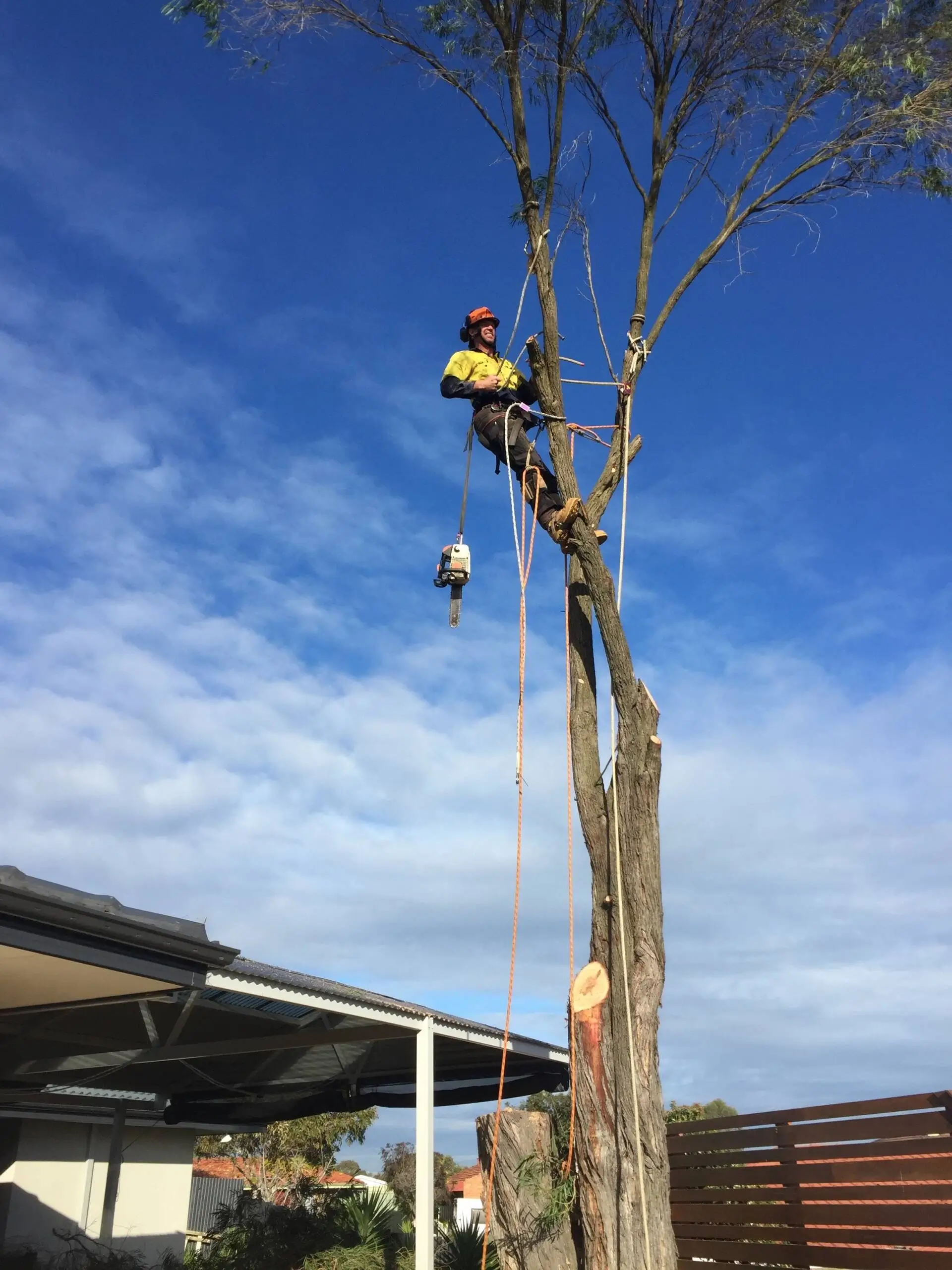 Ace’s Tree & Garden Service worker working on top of the tree