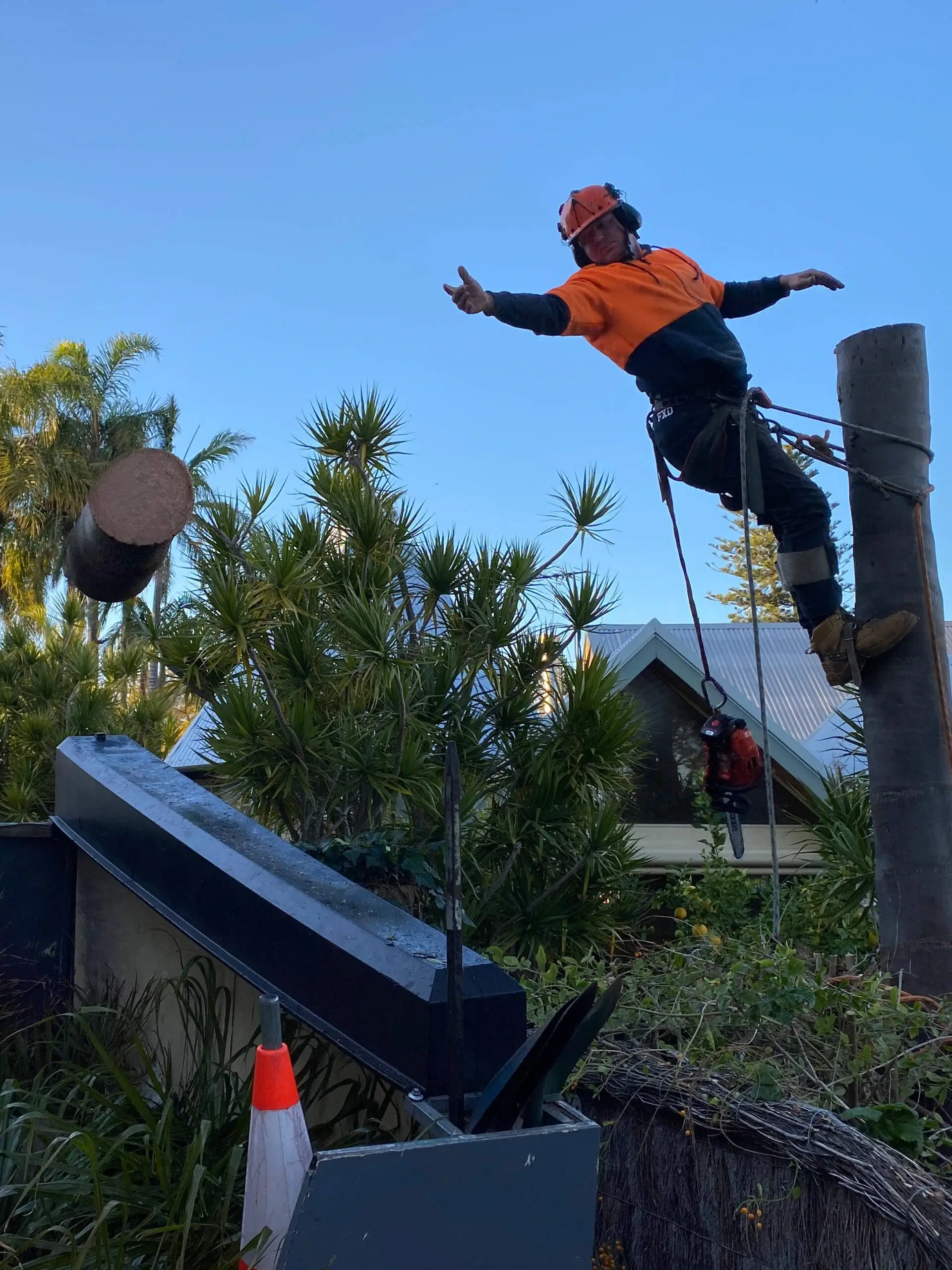 Ace’s Tree & Garden Service worker reaching out the tree trunk